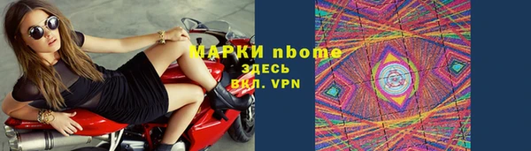 стафф Новодвинск