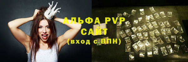 молекула духа Новозыбков