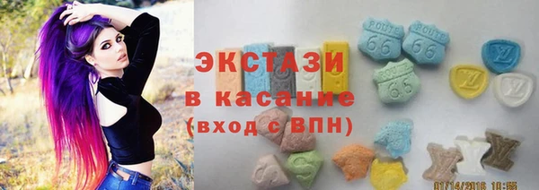 молекула духа Новозыбков