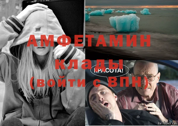стафф Новодвинск