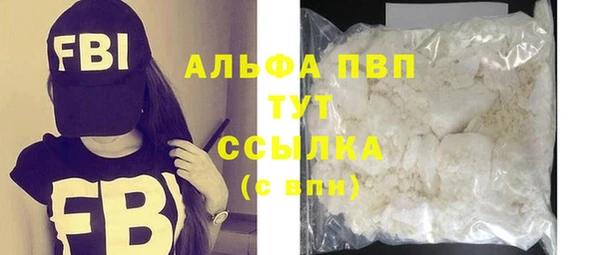 индика Новокубанск