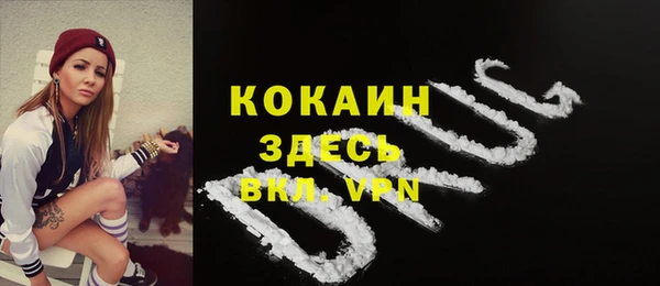 индика Новокубанск
