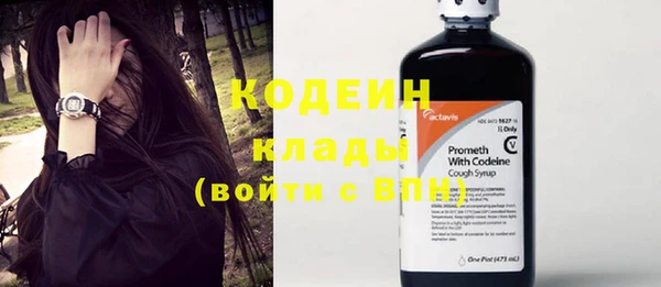 стафф Новодвинск
