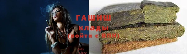 индика Новокубанск