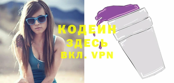 индика Новокубанск
