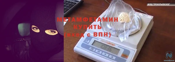 молекула духа Новозыбков