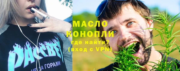 индика Новокубанск