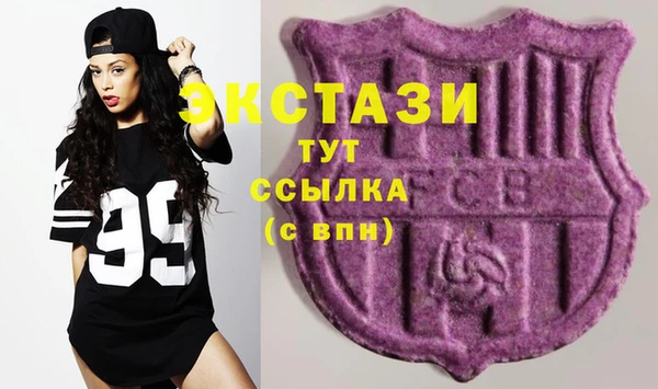 молекула духа Новозыбков