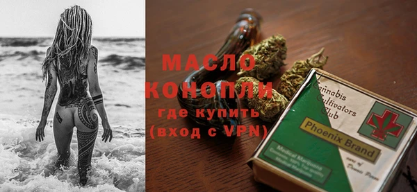 молекула духа Новозыбков