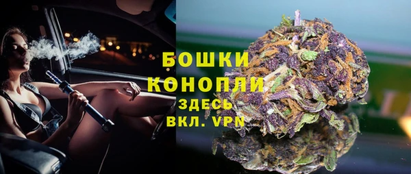 индика Новокубанск