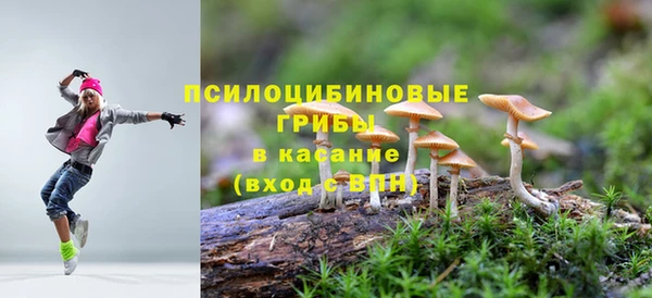 стафф Новодвинск