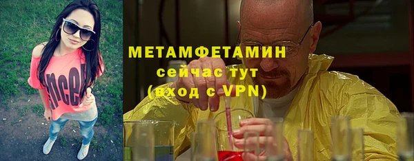 индика Новокубанск