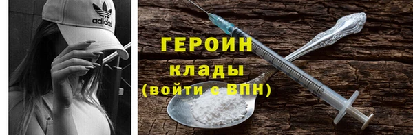 молекула духа Новозыбков