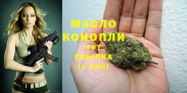 молекула духа Новозыбков