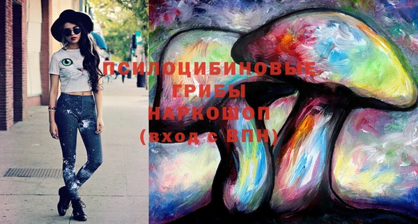 стафф Новодвинск