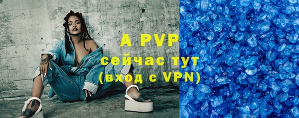 индика Новокубанск