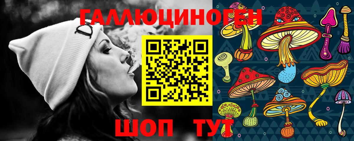 Псилоцибиновые грибы Cubensis Заволжье