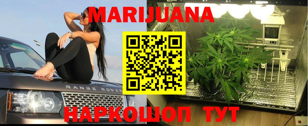 Конопля планчик Заволжье