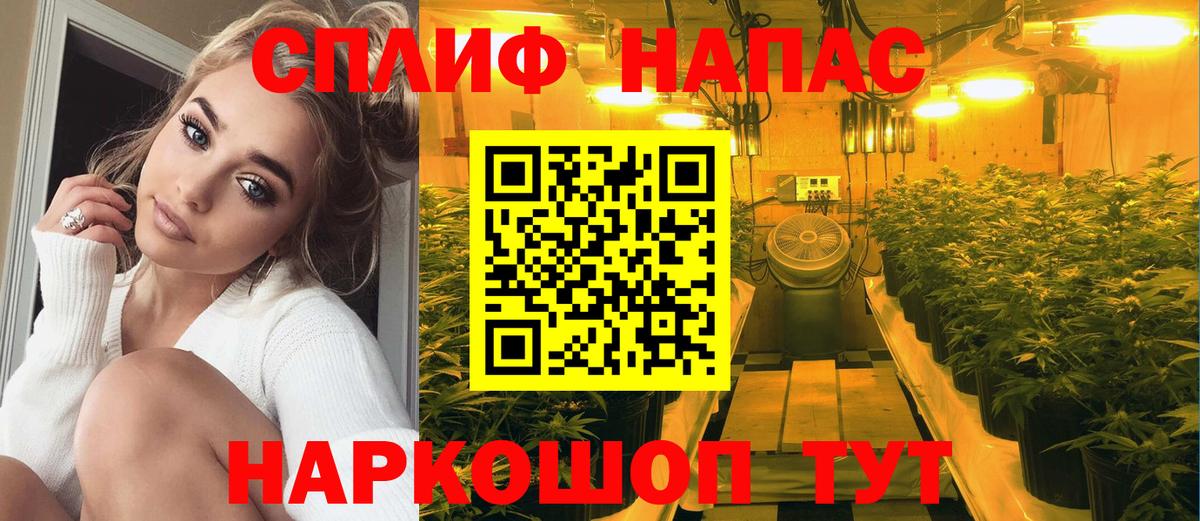 Марихуана Bruce Banner  Вход с VPN  Канабис Bruce Banner  Заволжье  Конопля AK-47 